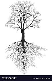Walnut Tree With Roots Royalty Free Vector Image Roots Illustration Tree Roots Tattoo Roots Drawing