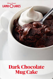 Dark Chocolate Mug Cake Recipe Chocolate Mug Cakes Mug Cake Chocolate Mugs