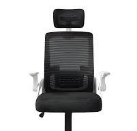 Silla Ejecutiva de Oficina Ergonomic Essential