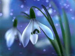 Lirio Da Paz Artist Inspiration Flowers Gif