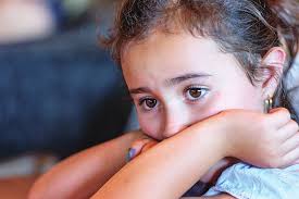 Delivery of Individualized Services to Students With Different Learning  Needs