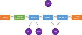 Knowledge Organization Systems for Systematic Chemical Assessments