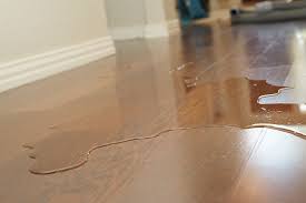 Often When There Is Water Damage Not Only Is The Carpet Damaged But The Water Has Seeped Through To The Flooring Und Flooring Pinterest Home Decor Ideas Wood
