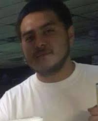 Lost Cat Near 13th and Greenwich in Wichita, Kansas