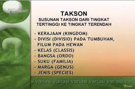 Qerja.com adalah sebuah komunitas untuk berbagi informasi mengenai tempat kerja dan gaji, khususnya untuk pekerjaan yang nggak penting dan nggak mendesak: Persamaan Dan Perbedaan Ciri Makhluk Hidup Jawaban Soal Tvri 19 Agustus