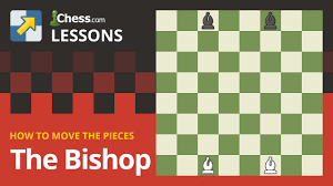 Obviously, every piece can move differently and i've had no trouble validating their moves up until now. The Bishop How To Move The Chess Pieces Youtube