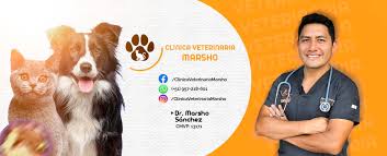 CLINICA VETERINARIA MOYOBAMBA.