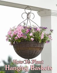 How To Grow Berries In Containers Hangepflanzen Pflanzenschaukel Pflanzen