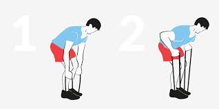 Resistance Band Exercises For A Full Body Workout Better Having a built upper chest is one of the most popular goals among bodybuilders and casual gym goers alike. resistance band exercises for a full