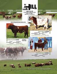 2023 July Shorthorn Country by SCI