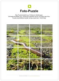 Ein Kostenloses Arbeitsblatt Zum Thema Regenwurmer Auf Dem Die Schuler Ein Fotopuzzle Zum Regenwurm In 16 Teile Zerschneiden Und Anschlie Regenwurm Wurm Regen