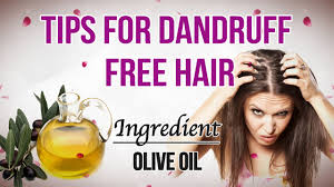 Olive oil adds shine, softness and body to your hair. Remedies For A Healthy Scalp Olive Oil For Dandruff Health Ambition