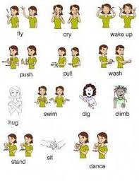 Bird In Sign Language For Toddlers American Sign Language Intro Sheet Signlanguagefortoddlers Sign Language Words Sign Language Phrases Sign Language