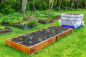 Maybe you would like to learn more about one of these? How To Organize Your Backyard Vegetable Garden The Organized Mom