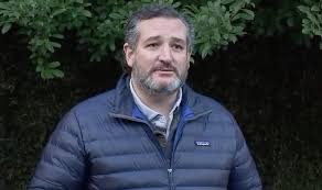 Texas is going through horrific storms, and millions of texans have lost power, have lost heat, and they've been hurt, cruz said to reporters. 8sruh4isxrnbqm