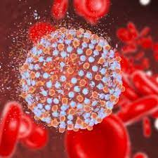 Hepatitis c is a viral infection that causes liver inflammation, sometimes leading to serious liver damage. Hepatitis C Hcv Medlineplus