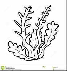 Pichu coloring pages to print. Simple Coral Reef Coloring Page Novocom Top
