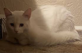 Such a happy little cloud. If you know where you know where.