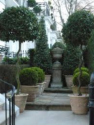 Beautiful Topiary Collection Cone Shaped In Back Shorter Rounded Boxwoods Most Likely And Tall Topiaries In Fron Beautiful Gardens Garden Urns Garden Design