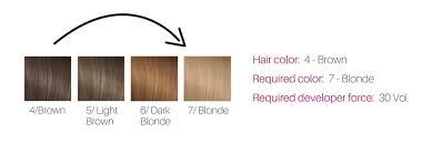 72 Qualified Bleaching Hair Color Level Chart