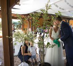 Gäste können jedes zeichen, ihren namen in die. Baum Pflanzen Bei Der Freien Trauung Trau Anni