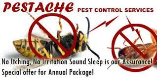 We specialize in both domestic and commercial. Pestache Pest Control Services Mumbai Pestache Pest Control Services Coupons Pestache Pest Control Services Discount Offers Sales