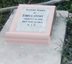 Why We Do What We Do