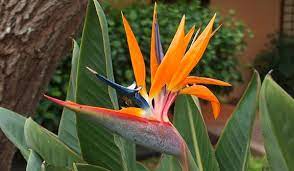 Pin On Plant Talk