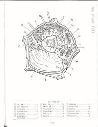 Cell Membrane Coloring Worksheet Beautiful Cell Membrane Coloring Worksheet Plant Cells Worksheet Animal Cells Worksheet Cell Membrane Coloring Worksheet