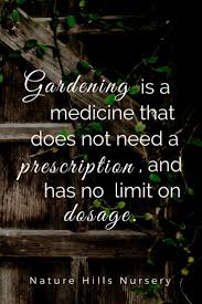 Gardening One Of The Best Mood Boosters There Is Gardening Quotes Vegetable Garden Planner Small Vegetable Gardens Garden Quotes