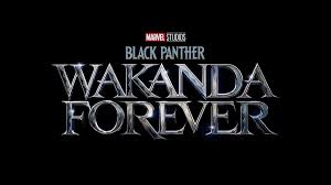 He is among the top intellects and martial artists of the world, a veteran avenger. Black Panther 2 Schicksal Von Chadwick Bosemans T Challa Bekannt Netzwelt