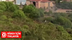 Maybe you would like to learn more about one of these? Istanbul Da Orman Yangini Cikaran Hain Yakalandi