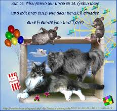 Jul 04, 2020 · hi jungs für alle die mich nicht kennen.mein name ist true und ich übertakte alles was geht seit knapp 20 jahre undnu.lass ich zum erstenmal einen prozzi von jemanden andern takten. Finns Und Tjoffys 15 Burzeltag Am 29 05 2019 Burzel Und Schenkie Seites Webseite