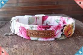 We did not find results for: Best Dog Collars For Small Large Dogs Find Out About Shock Collar For Dog Gps Dog Collars E Collar For Dogs Girl Dog Collars Pink Dog Collars Girl And Dog