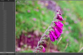 Lightroom es actualmente el programa más utilizado para editar fotografías, su intuitiva interfaz, el flujo de trabajo y la edición no destructiva lo convierte en una de las mejores opciones para revelar digitalmente. Guia Definitiva De Las Previsualizaciones Inteligentes De Lightroom Blas Fotografia