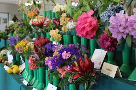 Specialising in wedding flowers, we offer packages and a custom design service. Kapiti Retirement Trust Garden Showing A Blooming Success Nz Herald