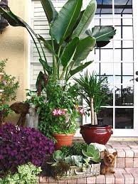 A lanai in florida can be any covered area outside of the. Florida Condo Lanai 10 Best Ideas Florida Luxury Waterfront Condo Tropical Landscaping Lanai Decorating Florida Lanai