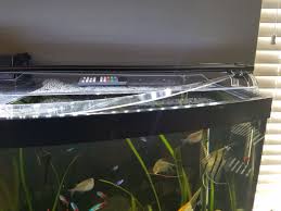 Diy Aquarium Lids Success And Failures Diy Aquarium Aquascape Aquarium Aquarium