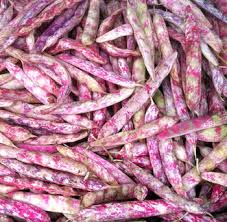 You want to make sure that, while the beans cook, the water level never drops below them; Borlotti Beans