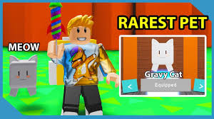 Roblox Developer Gave Me My Own Pet In This Game Roblox Cat Simulator Youtube