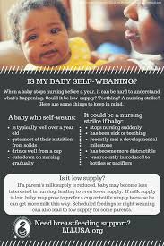 When A Baby Stops Nursing Suddenly It Can Be Hard To Understand What Is Happening Is It Temporary Or Permanent Breastfeeding Info Breastfeeding Understanding