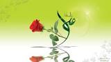 نتیجه تصویری برای دانلود مولودی امام علی ع