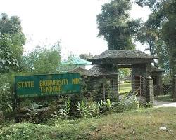 Image of Tendong State Biodiversity Park, Sikkim