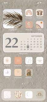 Tan Ios14 Home Screen Layout Homescreen Iphone Iphone App Design Iphone Apps
