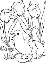 Aici găsiți ⭐ desene de colorat cu flori pentru copii. Least Origin Aspect Desene De Primavara In Creion Simple Whisksandwit Com