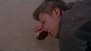 Shadow of the Lotus (2016)