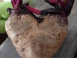 Taman serdang raya 2.2 km. Marketplace Pasar Plaza Rakyat Nearby Seri Kembangan In Malaysia 1 Reviews Address Website Maps Me