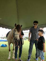 Well you're in luck, because here they come. Fabulous Party Planner 002081333 D Event N Kids Party Planner Kuala Lumpur Selangor Malaysia Pony Ride Horse Riding