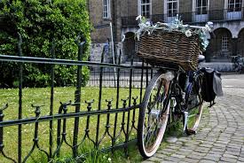 Tagesausflug Nach Maastricht Ein Stadtrundgang Mit Highlights Tipps Tagesausflug Ausflug Maastricht