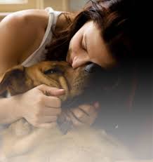 Euthanasia with cremation (ashes not returned) $385.00 Our Services Happy Endings In Home Pet Euthanasia